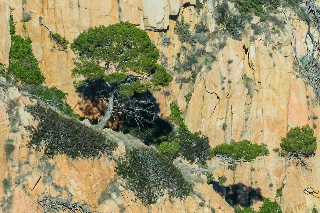A-12 Apartment Begur Spain